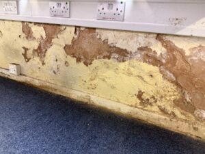 damp on internal plaster inside a building