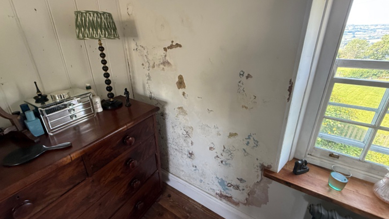 Specific Surveys - Damp